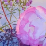 Hastalar için dualar