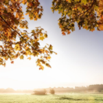 Beli büyük kadının iyileştirilmesi