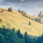 Zakay’nın kurtuluşu