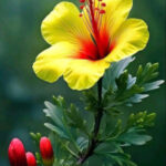 Seninle yaşamak istiyorum (12. bölüm)