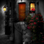 Vergi görevlisi ve ferisi