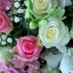 Seninle yaşamak istiyorum (5. bölüm)