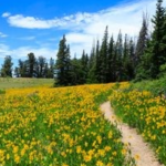 Savaşlardan korkmayın,