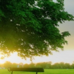 Mesih’in ikinci gelişi