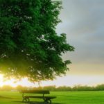 Mesih’in ikinci gelişi